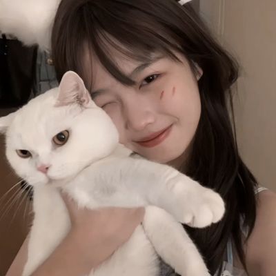 歌之王子殿下:闪耀之星