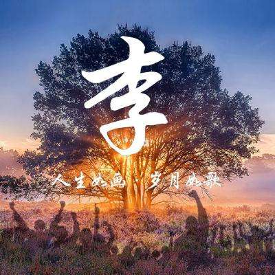 帕拉狗骑士