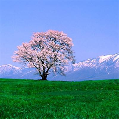 雪人兄弟无敌版