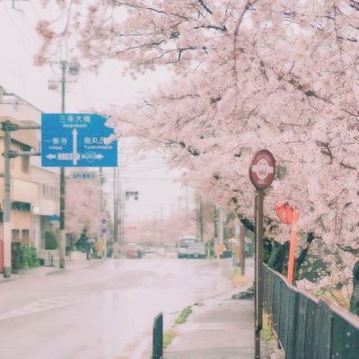小轮机器人