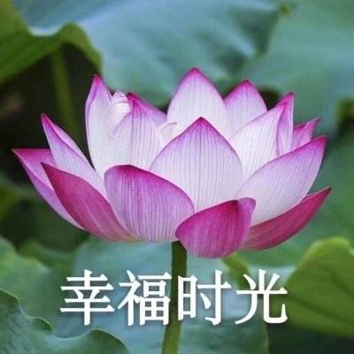 逃出100个房间