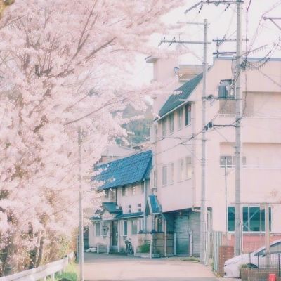 任意球专家