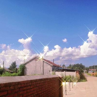 王国保卫战4