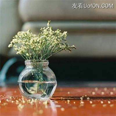 华谊兄弟大跌 崔永元：不是故意的 不懂股票