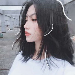 新倚天屠龙记