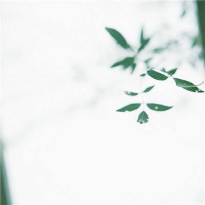 诺德 | 为仓储物流行业提供两种解决方案