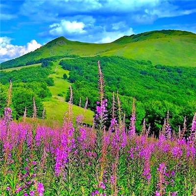 yy樱花福利院私人入口 yy樱花福利院私人入口