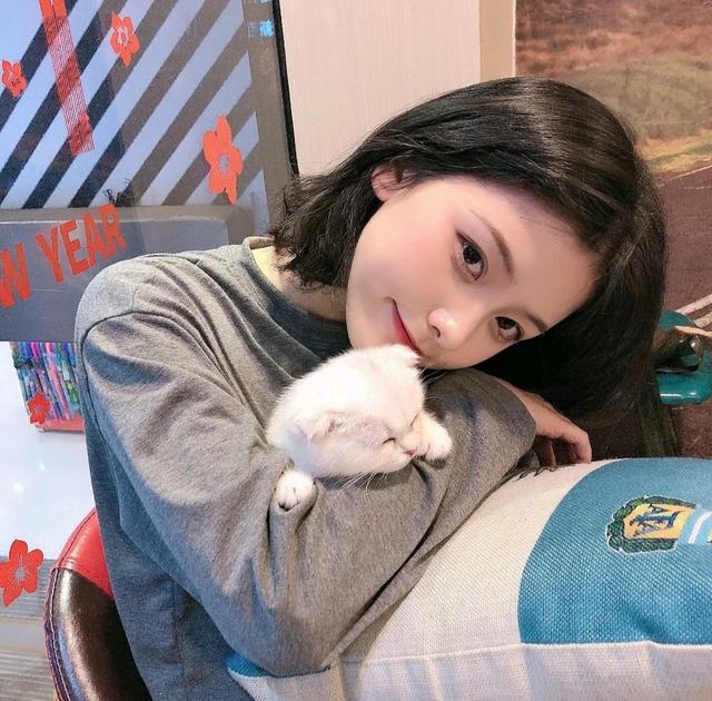 小猫公主